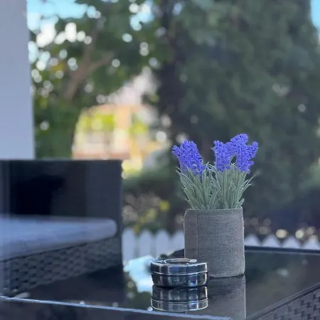Belyy Lebed Apartment Sarafovo